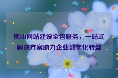 佛山網(wǎng)站建設(shè)全包服務(wù)，一站式解決方案助力企業(yè)數(shù)字化轉(zhuǎn)型