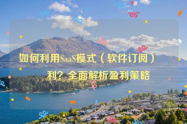 如何利用SaaS模式（軟件訂閱）盈利？全面解析盈利策略