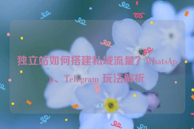 獨立站如何搭建私域流量？WhatsApp、Telegram 玩法解析