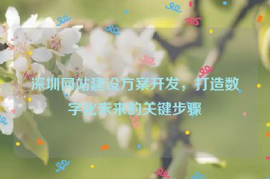 深圳網(wǎng)站建設(shè)方案開發(fā)，打造數(shù)字化未來(lái)的關(guān)鍵步驟