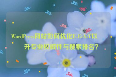 WordPress網(wǎng)站如何優(yōu)化E-E-A-T以提升專業(yè)權(quán)威性與搜索排名？