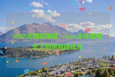 SHEIN式爆款策略，Temu全托管模式下的供應(yīng)鏈優(yōu)化