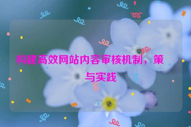 構(gòu)建高效網(wǎng)站內(nèi)容審核機制，策略與實踐
