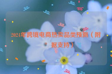 2024年跨境電商熱賣品類預(yù)測(附數(shù)據(jù)支持)