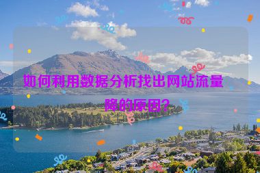 如何利用數(shù)據(jù)分析找出網(wǎng)站流量下降的原因？