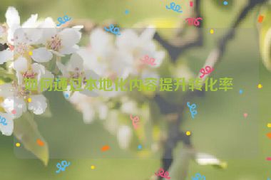 如何通過本地化內(nèi)容提升轉(zhuǎn)化率？