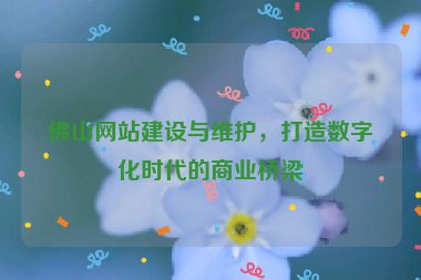 佛山網(wǎng)站建設與維護，打造數(shù)字化時代的商業(yè)橋梁