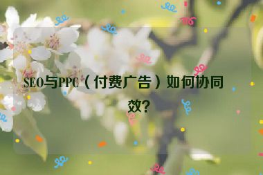 SEO與PPC（付費廣告）如何協(xié)同增效？