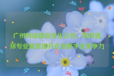 廣州網(wǎng)站建設(shè)優(yōu)化公司，如何選擇專(zhuān)業(yè)服務(wù)提升企業(yè)數(shù)字化競(jìng)爭(zhēng)力