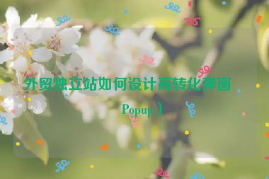外貿(mào)獨(dú)立站如何設(shè)計(jì)高轉(zhuǎn)化彈窗(Popup)