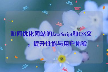 如何優(yōu)化網(wǎng)站的JavaScript和CSS文件，提升性能與用戶(hù)體驗(yàn)