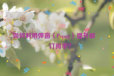 如何利用彈窗（Popup）提升郵件訂閱率？