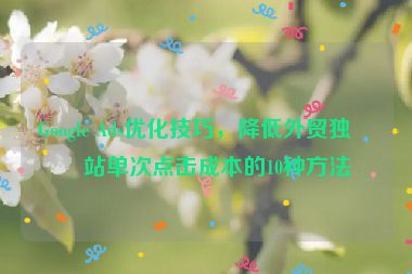 Google Ads優(yōu)化技巧，降低外貿(mào)獨(dú)立站單次點(diǎn)擊成本的10種方法