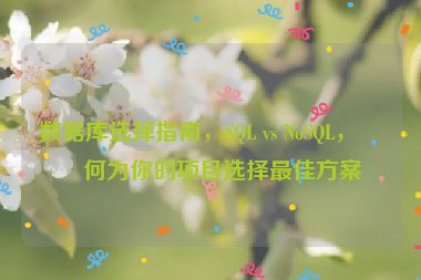 數(shù)據(jù)庫選擇指南，SQL vs NoSQL，如何為你的項目選擇最佳方案