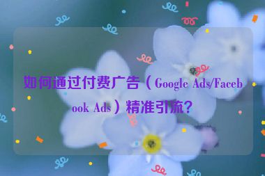 如何通過付費廣告（Google Ads/Facebook Ads）精準(zhǔn)引流？