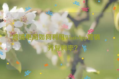 跨境電商如何利用WhatsApp營銷提升復購率？