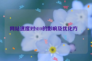 網(wǎng)站速度對(duì)SEO的影響及優(yōu)化方案