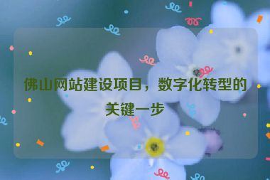 佛山網(wǎng)站建設(shè)項(xiàng)目，數(shù)字化轉(zhuǎn)型的關(guān)鍵一步