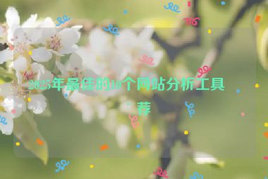 2025年最佳的10個(gè)網(wǎng)站分析工具推薦