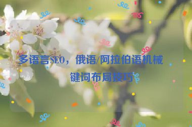 多語言SEO，俄語/阿拉伯語機(jī)械關(guān)鍵詞布局技巧