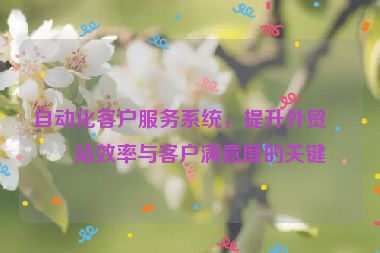 自動化客戶服務(wù)系統(tǒng)，提升外貿(mào)網(wǎng)站效率與客戶滿意度的關(guān)鍵