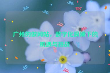 廣州的做網(wǎng)站，數(shù)字化浪潮下的機(jī)遇與挑戰(zhàn)