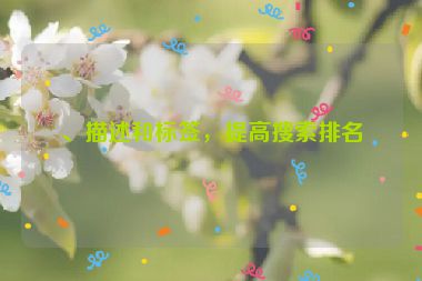 、描述和標(biāo)簽，提高搜索排名