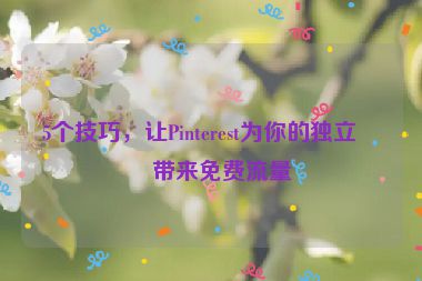 5個技巧，讓Pinterest為你的獨(dú)立站帶來免費(fèi)流量