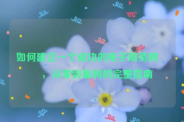 如何建立一個(gè)成功的電子商務(wù)網(wǎng)站，從零到盈利的完整指南