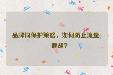 品牌詞保護(hù)策略，如何防止流量被截胡？