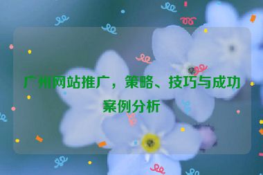 廣州網(wǎng)站推廣，策略、技巧與成功案例分析