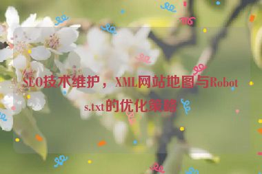 SEO技術維護，XML網(wǎng)站地圖與Robots.txt的優(yōu)化策略