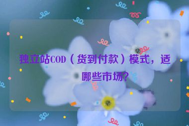 獨(dú)立站COD（貨到付款）模式，適合哪些市場(chǎng)？