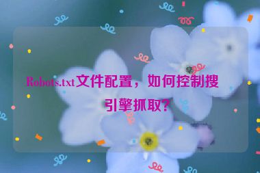 Robots.txt文件配置，如何控制搜索引擎抓取？