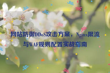 網(wǎng)站防御DDoS攻擊方案，Nginx限流與WAF規(guī)則配置實戰(zhàn)指南