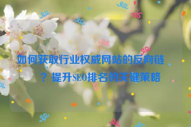 如何獲取行業(yè)權(quán)威網(wǎng)站的反向鏈接？提升SEO排名的關(guān)鍵策略