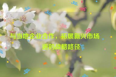 與當?shù)仄髽I(yè)合作，拓展新興市場渠道的戰(zhàn)略路徑