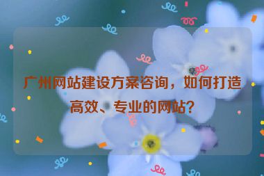 廣州網(wǎng)站建設(shè)方案咨詢，如何打造高效、專(zhuān)業(yè)的網(wǎng)站？