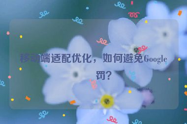 移動端適配優(yōu)化，如何避免Google懲罰？