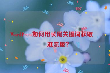 WordPress如何用長尾關(guān)鍵詞獲取精準(zhǔn)流量？