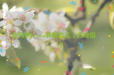 亞馬遜Review獲取方法（合規(guī)指南）